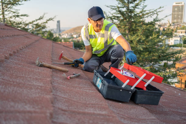 Best Same-Day Junk Removal Services  in Rohnert Park, CA